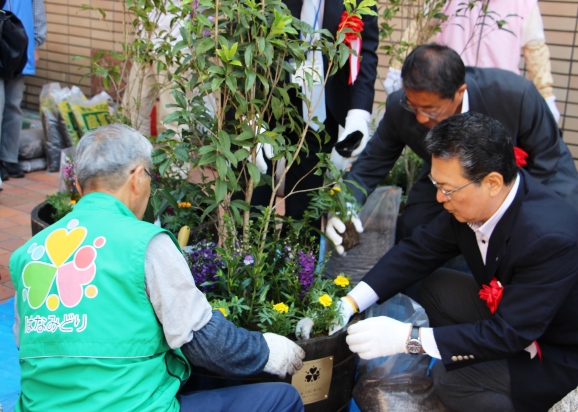 樽鉢に植樹をしました。植樹したのは樽鉢の中心から、きんもくせい、アンゲロニア、マリーゴールドの3種です。