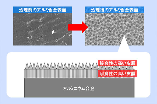 上の左が処理前、右が処理後。下はその模式図。金属表面を耐食性の高い皮膜が覆い、その上にトゲのような皮膜が形成されます。