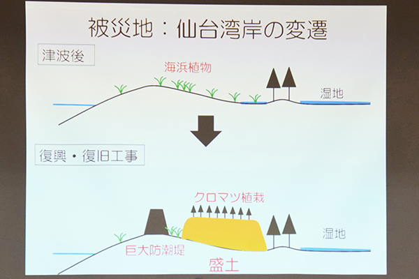 復興・復旧工事により、海浜植物が生息できる領域が狭まっていることを現した図。