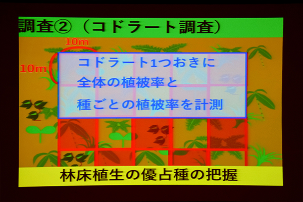 コドラート調査（森林を一定の区画に分け、植物や動物の個体数を調べる方法）を用いて優占種を分析。