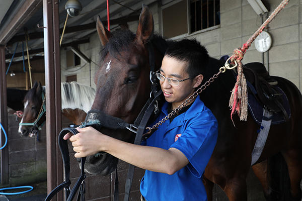 馬術練習に向けて馬装の取り付け。馬の個性によって取り付け方が違うのだとか。