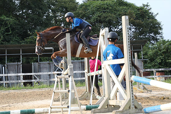 呼吸がぴったり合えば、馬は障害を華麗に飛び越えていきます。人馬一体になるこの瞬間が馬術の醍醐味。